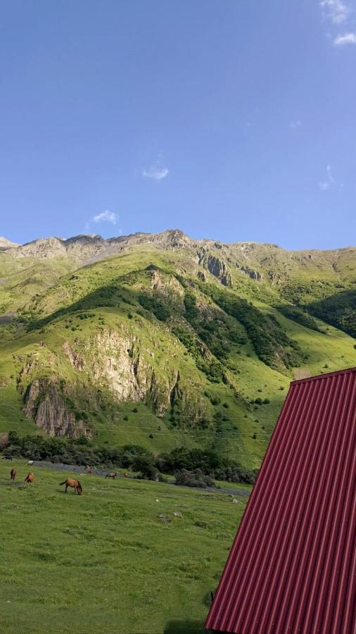 Mountain Flower Cottage Stepancminda Zewnętrze zdjęcie